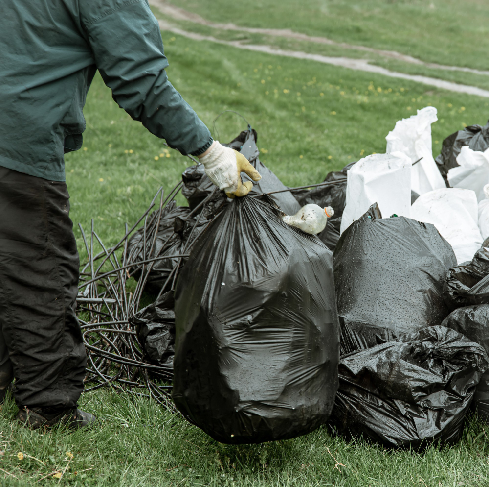 Household Waste Removal